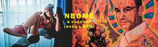 соль ск Богородицк